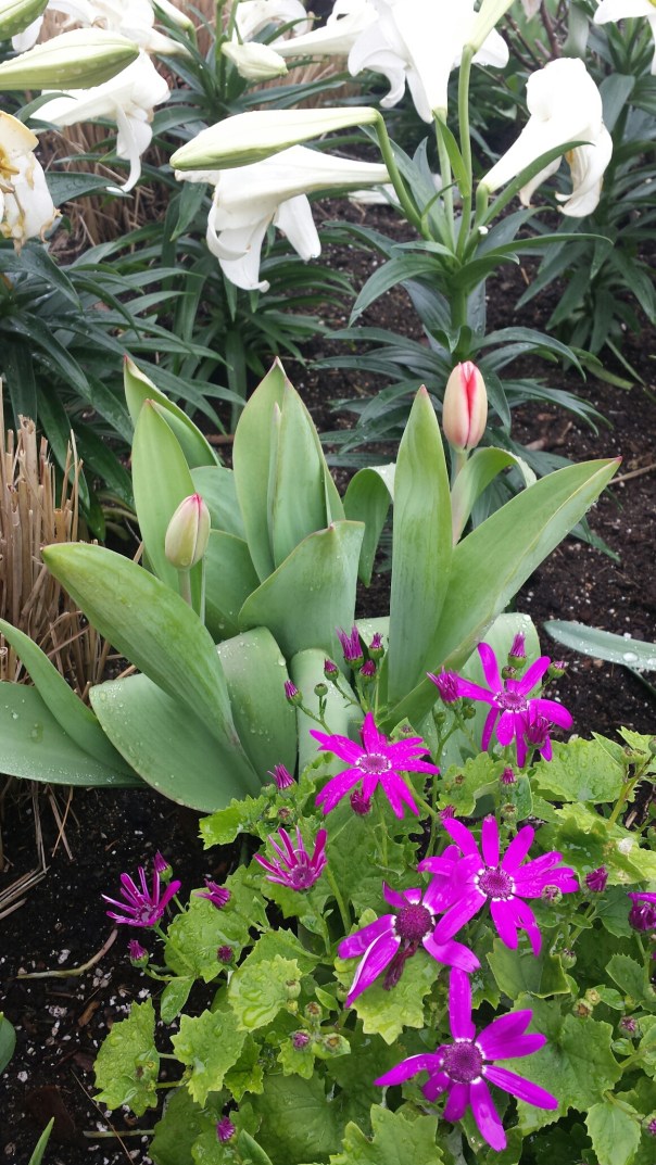 20150410_141036.jpg image