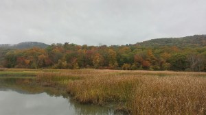 20151025_105421_Richtone(HDR)