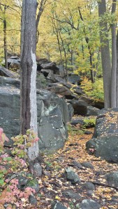 20151025_114124_Richtone(HDR)