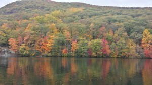 20151025_123012_Richtone(HDR)