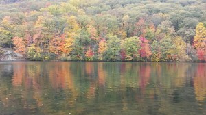 20151025_123040_Richtone(HDR)